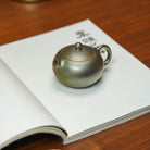 Yu Zui Xi Shi 150cc - Yixing Handmade Teapot - zycs_China