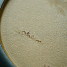 Yuan Yun - Dry Bubble Tray - zycs_China