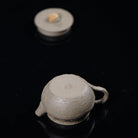 Yun Chan 100cc - Yixing Handmade Teapot - zycs_China - tea - teapot