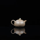 Yun Chan 100cc - Yixing Handmade Teapot - zycs_China - tea - teapot