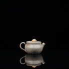 Yun Chan 100cc - Yixing Handmade Teapot - zycs_China - tea - teapot