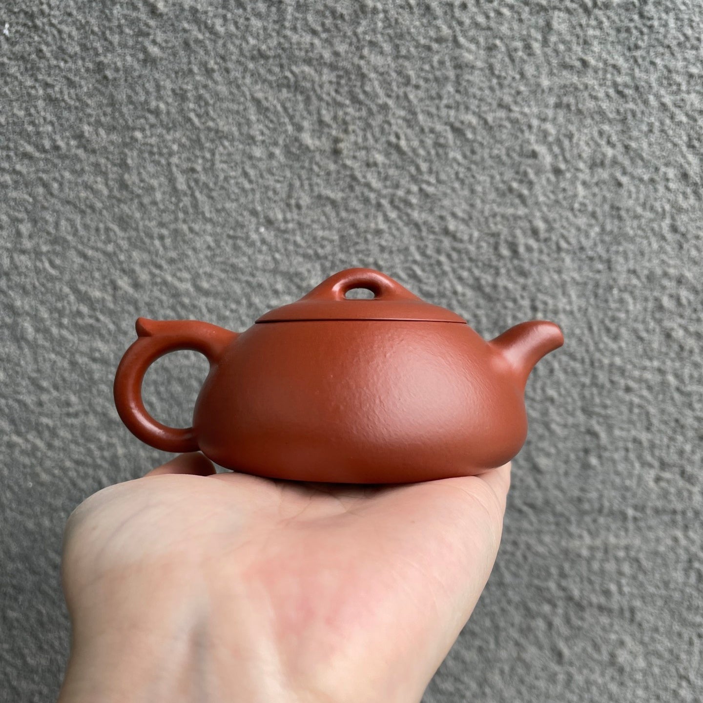 Yun Piao 180cc - Yixing Handmade Teapot - zycs_China - tea - teapot