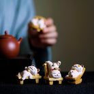 Zhao Cai Mao - Tea Pet - zycs_China