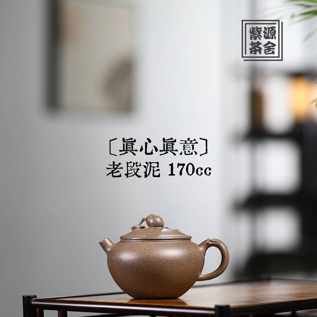 Zhen Xin Zhen Yi 170cc - Yixing Handmade Teapot 江苏宜兴