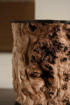 Zhi Gu - Wood Sculpture - zycs_China