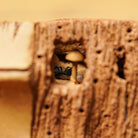 Zhu Bao Ping An - Dry Bubble Tray - zycs_China