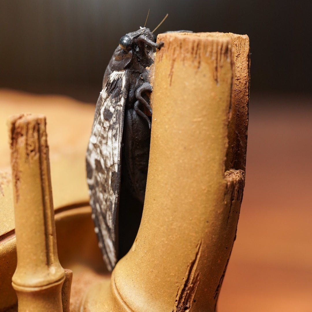 Zhu Bao Ping An - Dry Bubble Tray - zycs_China