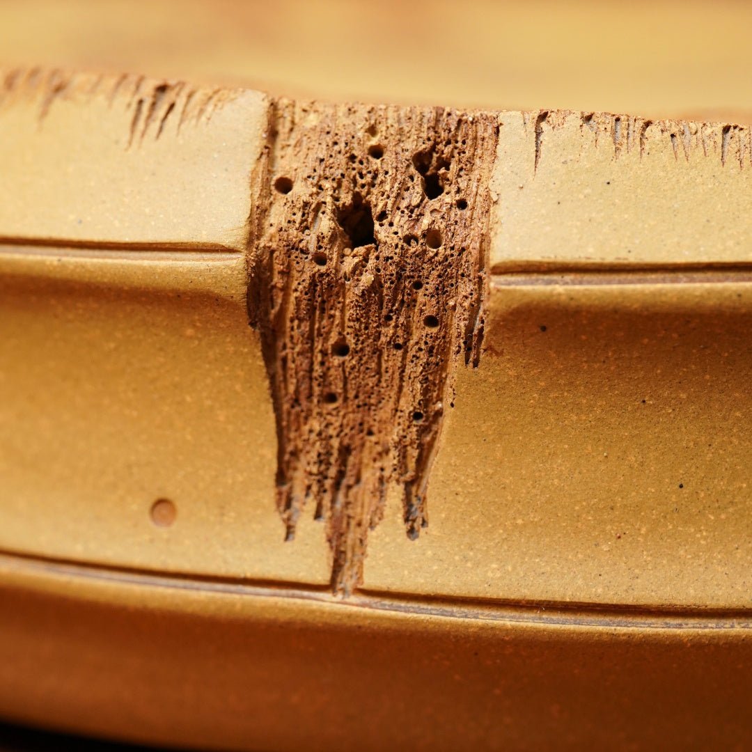 Zhu Bao Ping An - Dry Bubble Tray - zycs_China