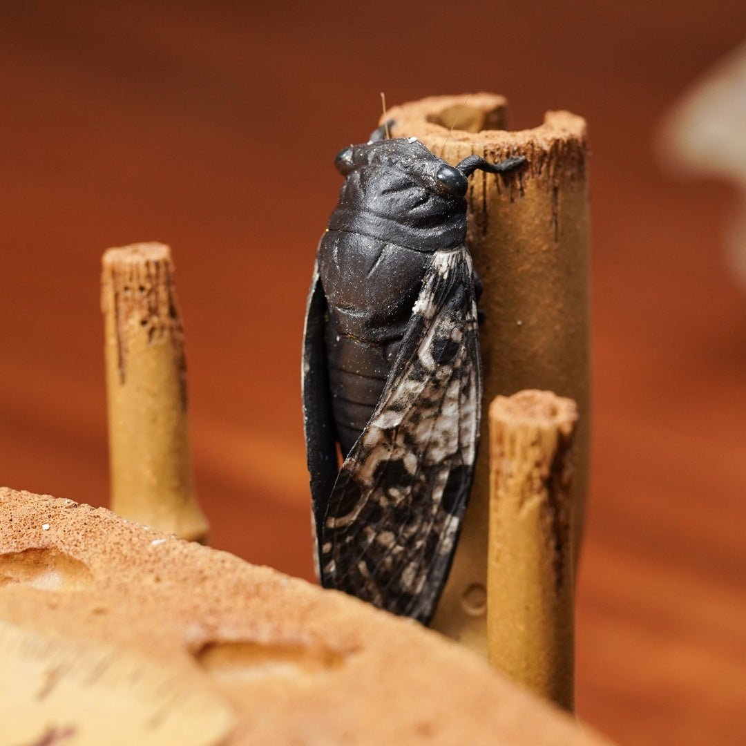 Zhu Bao Ping An - Dry Bubble Tray - zycs_China