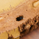 Zhu Bao Ping An - Dry Bubble Tray - zycs_China