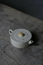 Zhu Mao Xi Lie 100cc/150cc - Yixing Handmade Teapot - zycs_China