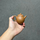 Zhu Qu 140cc - Yixing Handmade Teapot 江苏宜兴