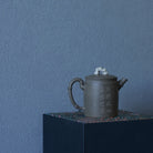 Zhu Shi 125cc - Yixing Handmade Teapot - zycs_China