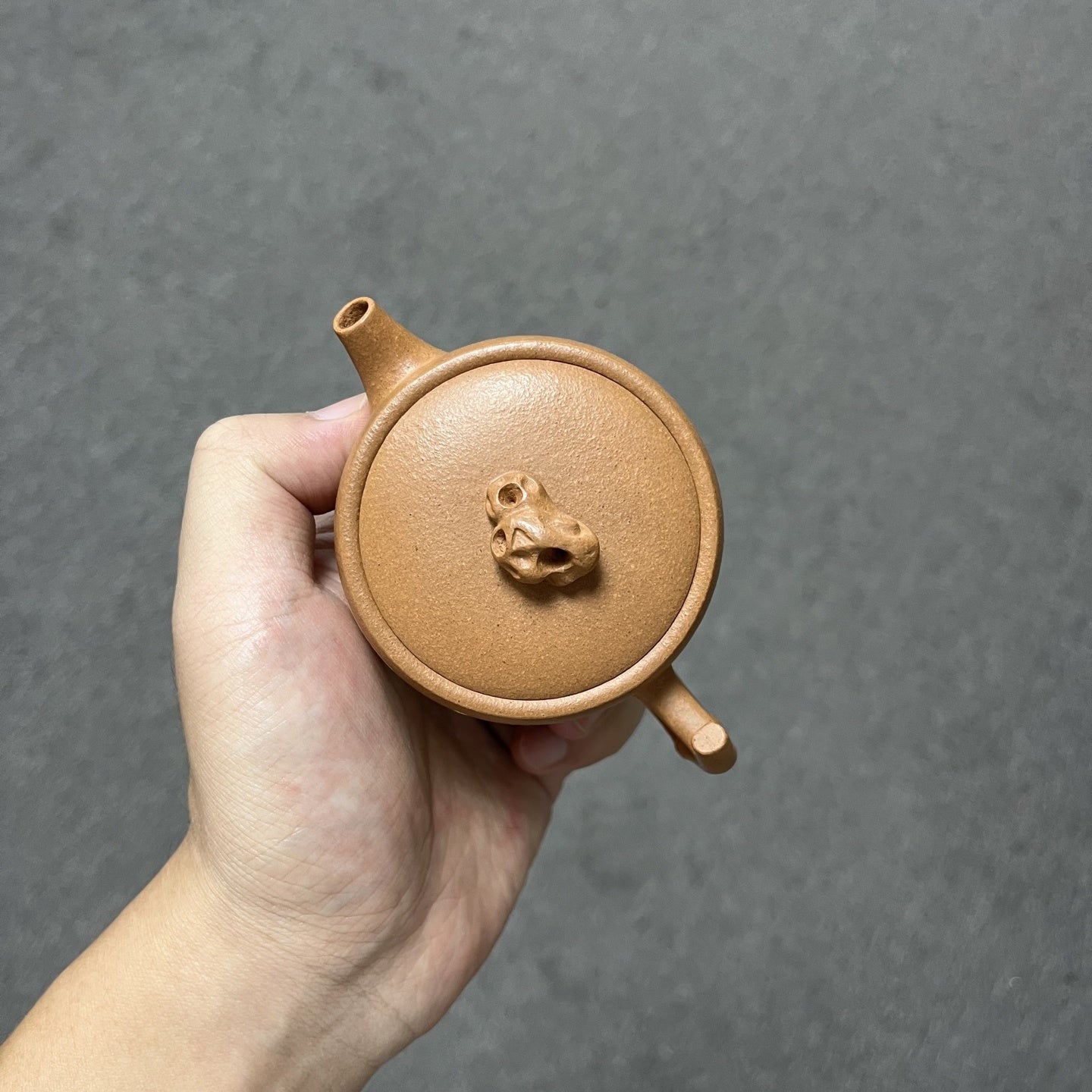 Zhu Wa 160cc - Yixing Handmade Teapot - zycs_China