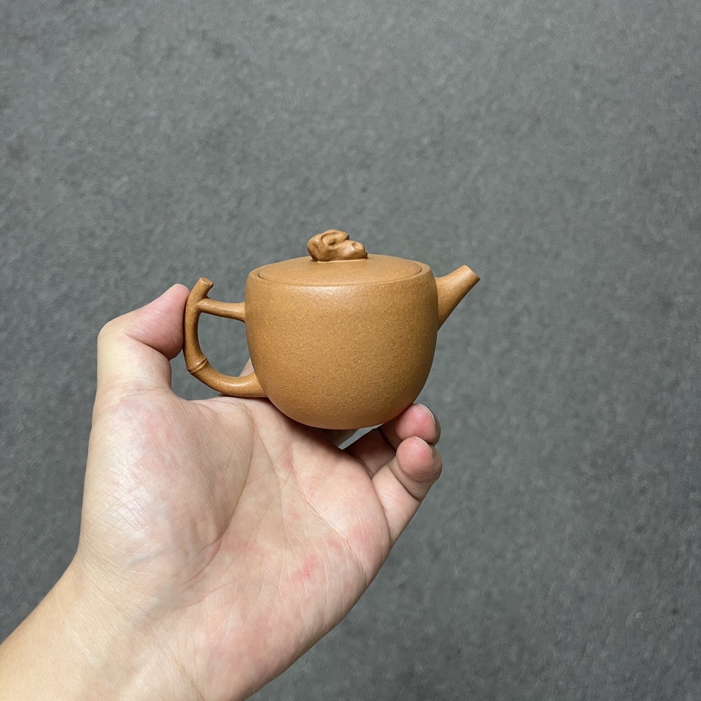 Zhu Wa 160cc - Yixing Handmade Teapot - zycs_China